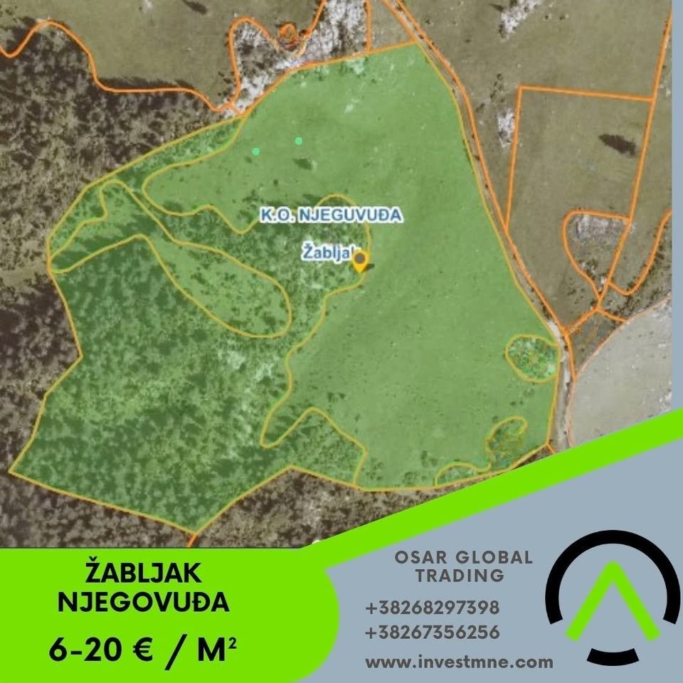 Žabljak _ NJEGOVUDA _ Arsa _ 28400 m²