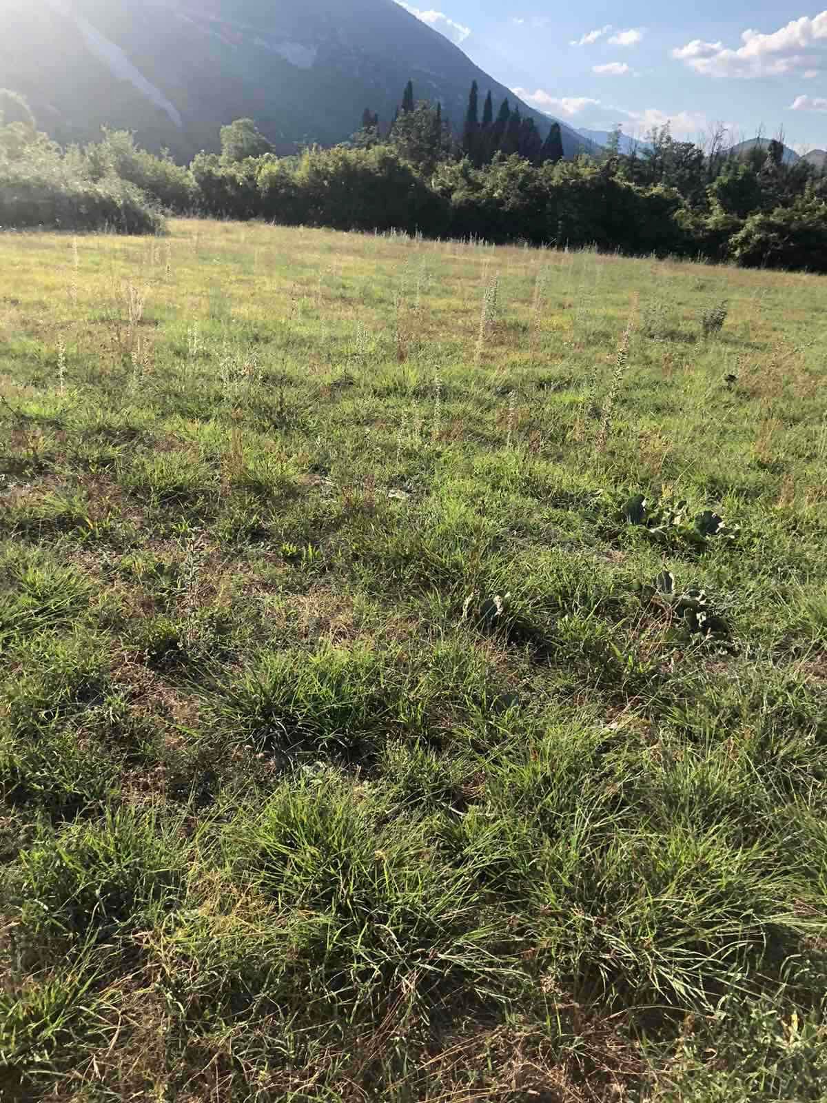 Nikšić _ MILOJEVIĆI _ Arsa _ 3470 m²