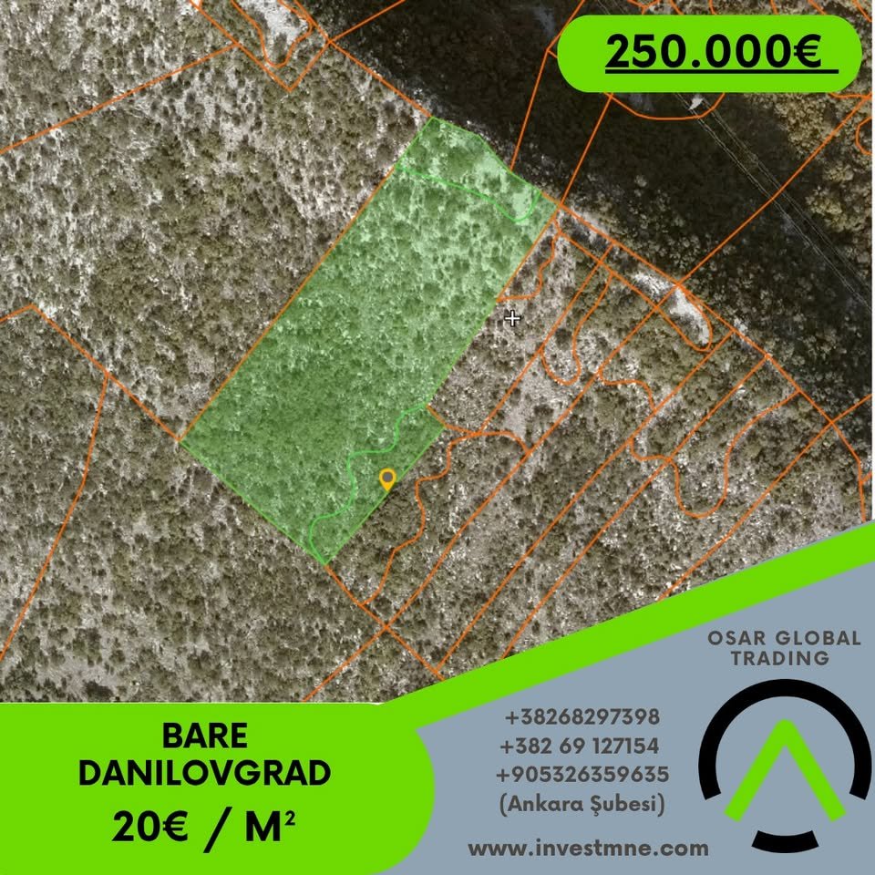 Danilovgrad _ BARE _ Arsa _ 13088 m²